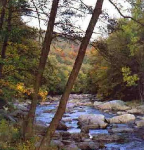 Les Vieilles Pierres Bed & Breakfast